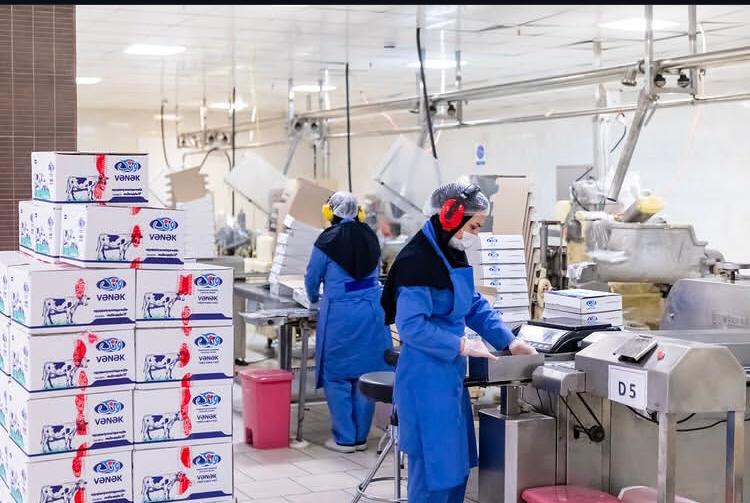 تصویر فله حیوانی 